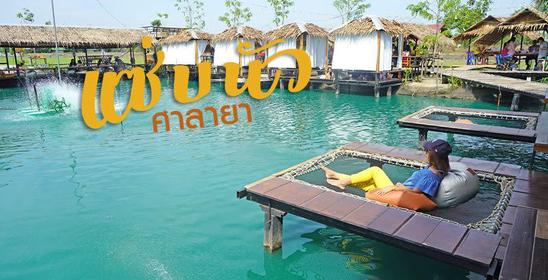 แซ่บนัวครัวบ้านนา