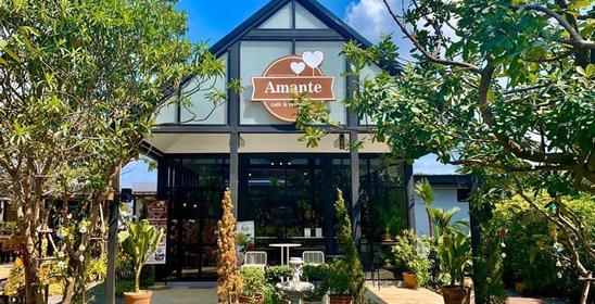 Amante Cafe & Restaurant