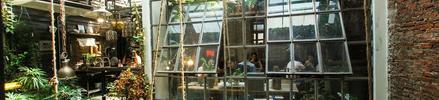 wallflowers cafe