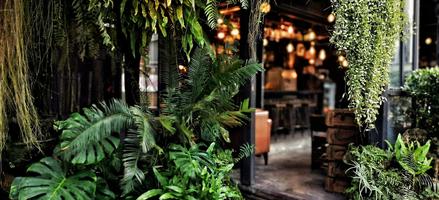 หนิม คาเฟ่