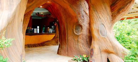 Cave Cliff Tarzan River Kwai Resort