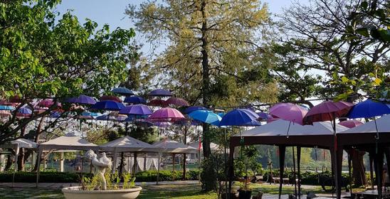Tree & Tide Riverside Cafe