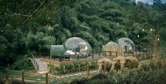 Anantara Golden Triangle Elephant Camp & Resort