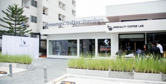 Pacamara x The specialty coffee lab