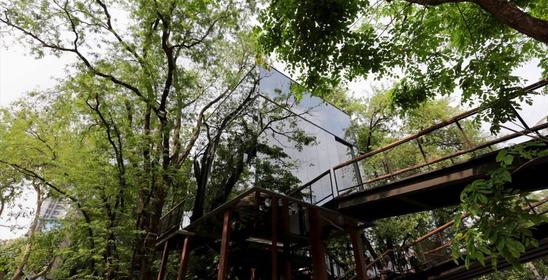 Naiipa Art Complex