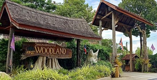 Woodland เมืองไม้ บ้านคุณณรงค์