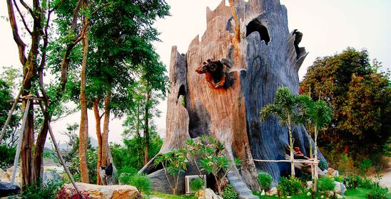 Cave Cliff Tarzan River Kwai Resort