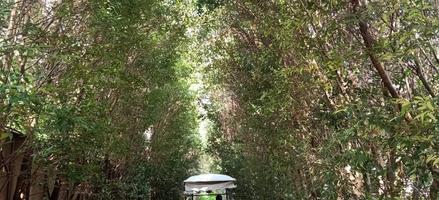 Sireeampan Boutique Resort & Spa