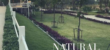 ปุยฝ้ายสวรรค์ In The Farm