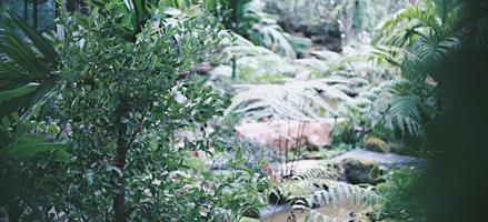 Koon's Cafe Garden coffee x Restaurant