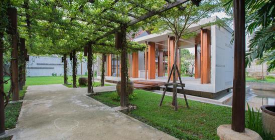 Into the Forest Studio