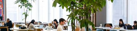 The Urban Office